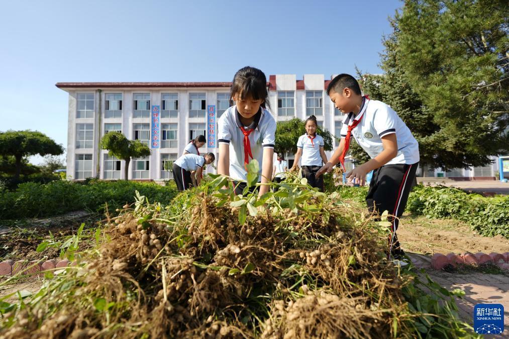 姚记捕鱼电脑版官方网站